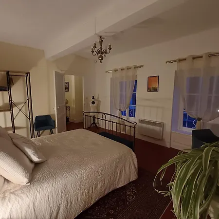 Vue Panoramique Carcasona