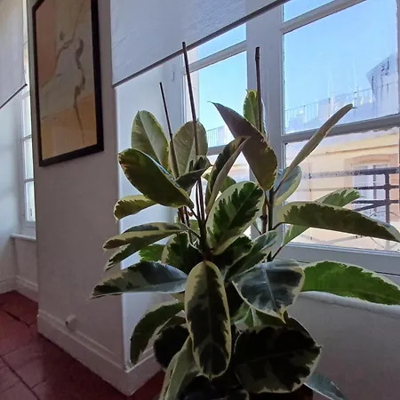 Vue Panoramique * Carcasona